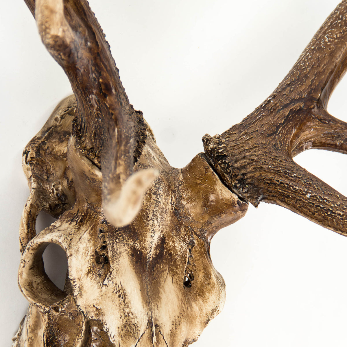 Deer Skull Wall Decor by Zentique