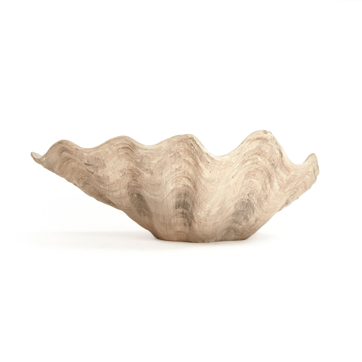 Tridacna Half Shell Bowl by Zentique