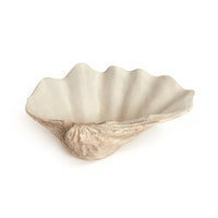 Tridacna Half Shell Bowl by Zentique